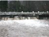 08.01.21 -27- Hochwasser Oder Scholbenwehr